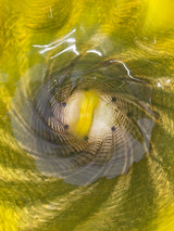 Yellow and Blue Macchia by Chihuly