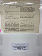 Set of Two Antique German Snake Prints